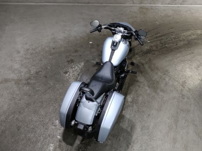 HD SPORT GLIDE FLSB1750 — фото 6