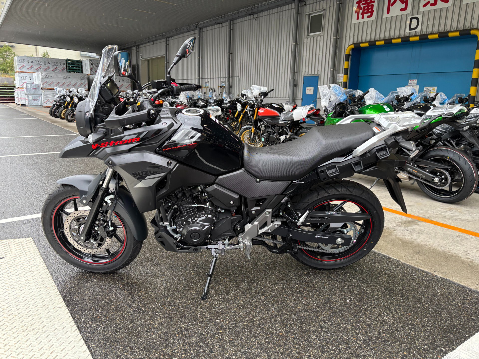 Suzuki V-STROM DL250 — фото 2