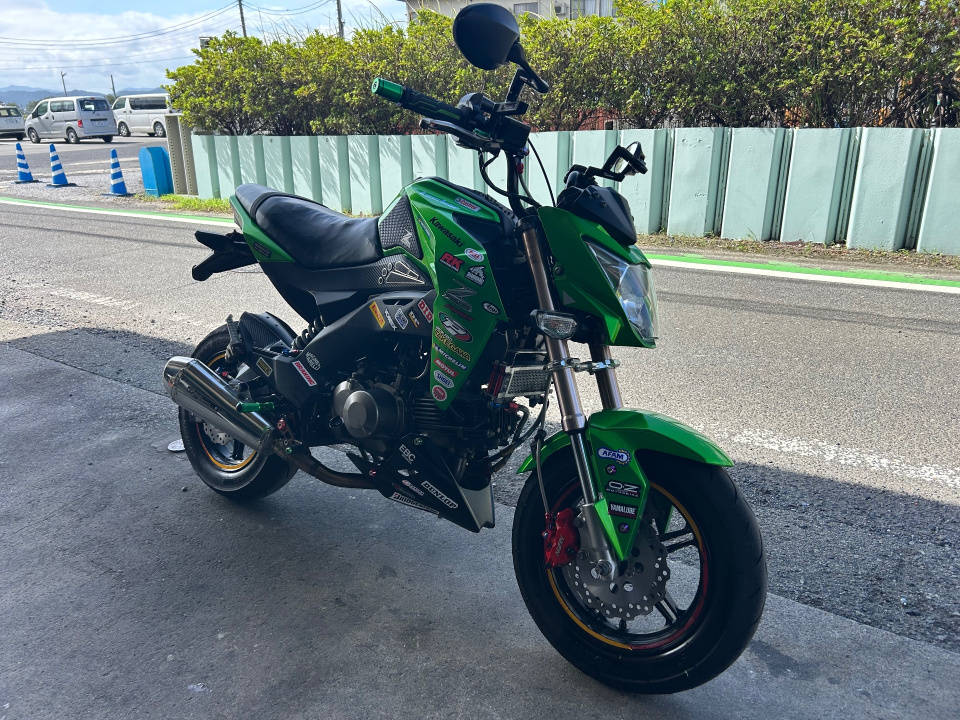 Kawasaki Z125 PRO — фото 4