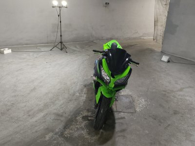 Kawasaki NINJA250 — фото 3