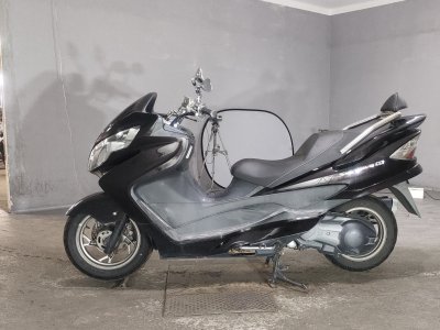 Suzuki SKYWEAVE 250SS — фото 2