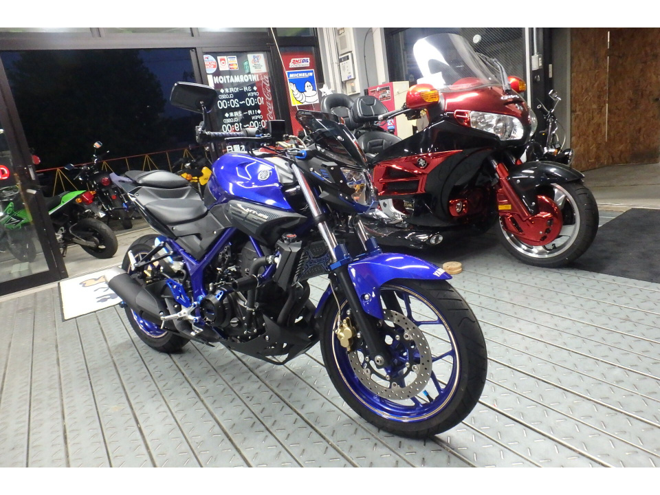 Yamaha MT-25 — фото 3
