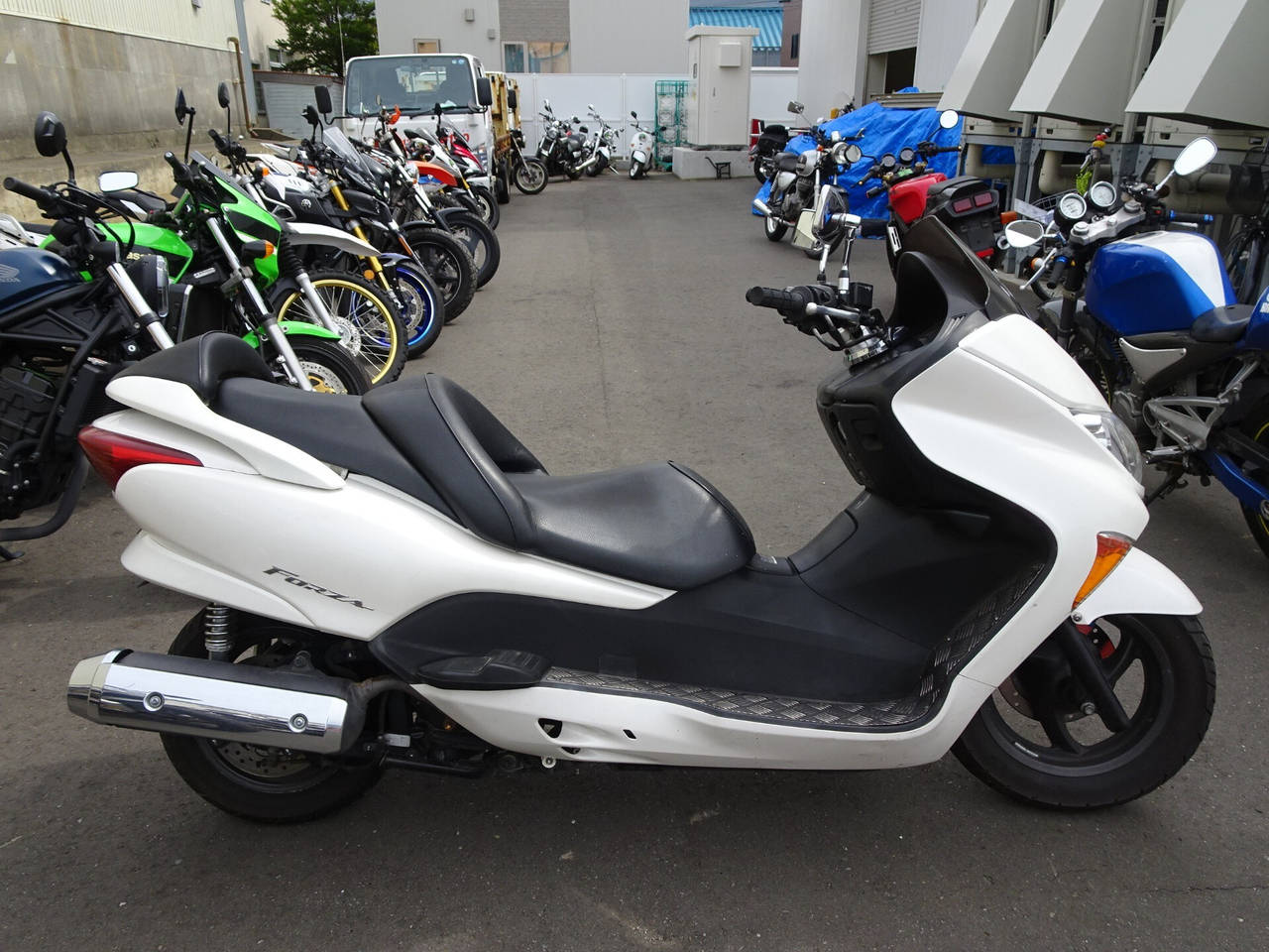 Honda FORZA Z
