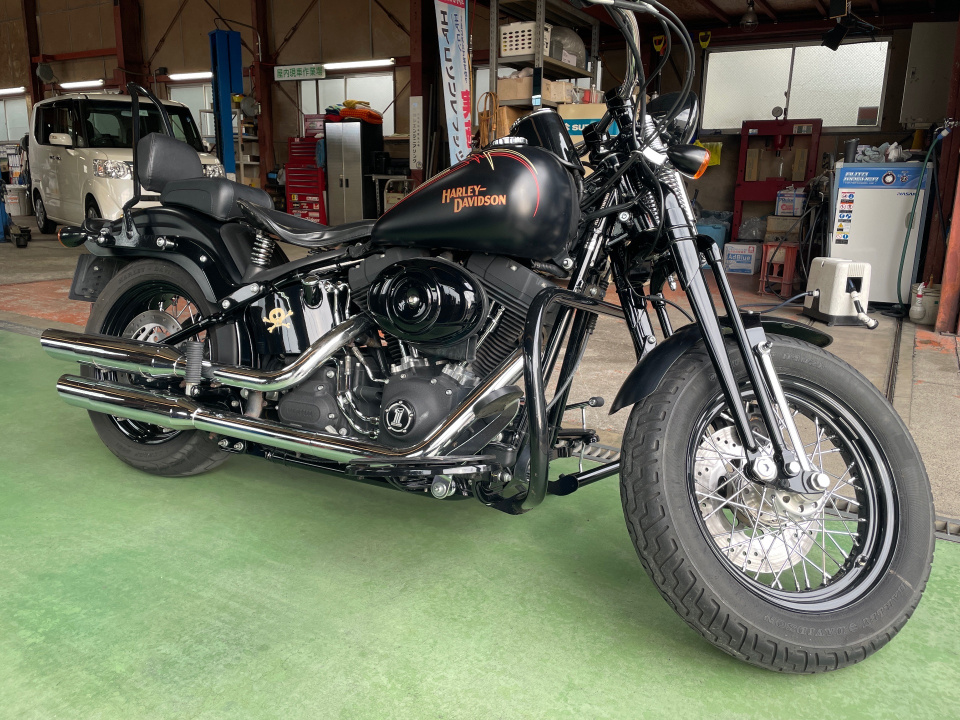 Harley-Davidson CROSS BONES FLSTSB1580
