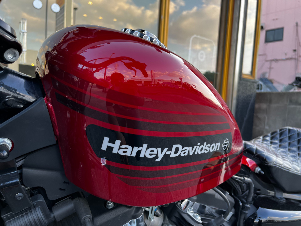 HD SPORTSTER FORTY-EIGHT XL1200XS — фото 20