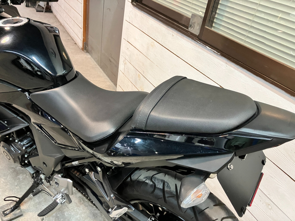 Suzuki GSX250R — фото 5