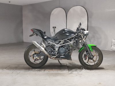 Kawasaki Z250SL