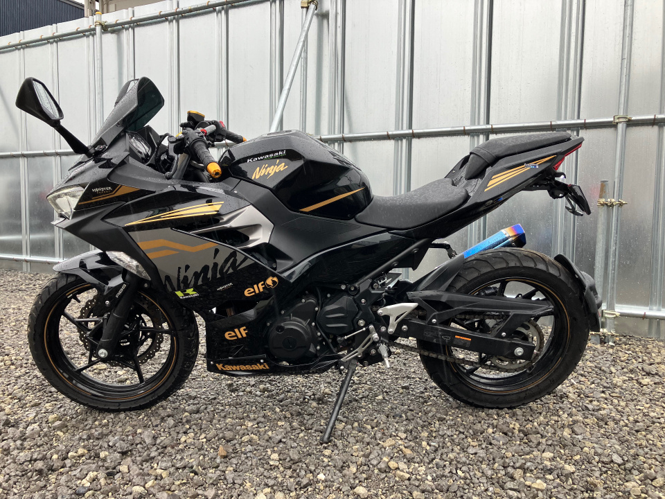 Kawasaki NINJA250