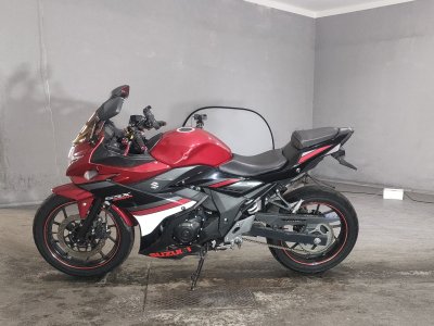 Suzuki GSX250R — фото 2