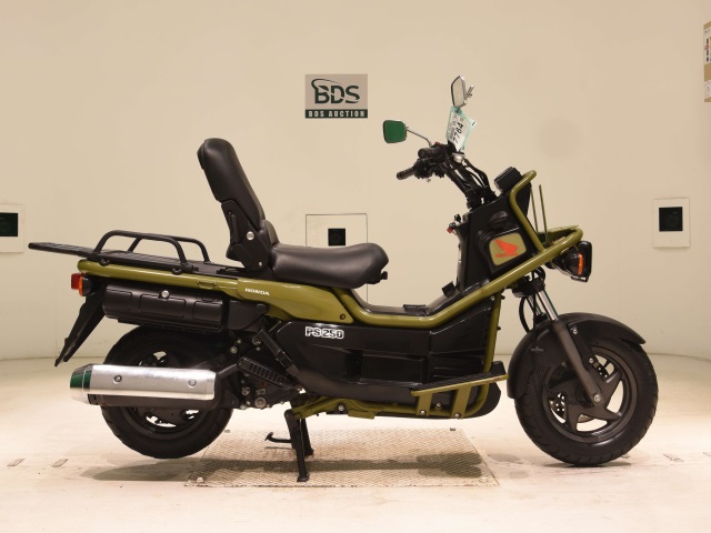 Honda PS250 BIG RUCKUS