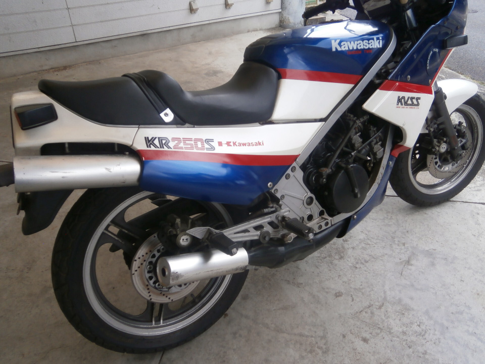 Kawasaki KR250S — фото 4