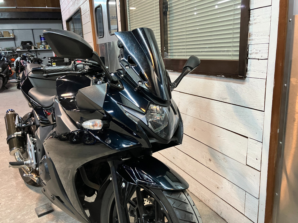 Suzuki GSX250R — фото 18