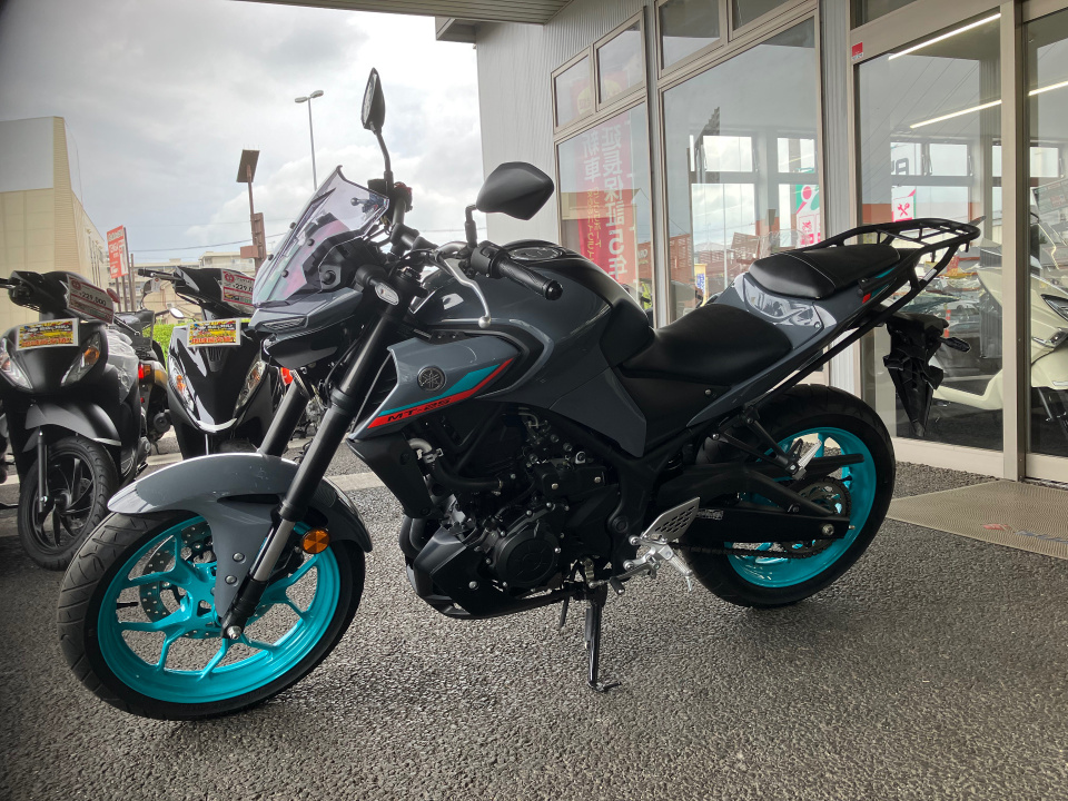 Yamaha MT-25 — фото 3