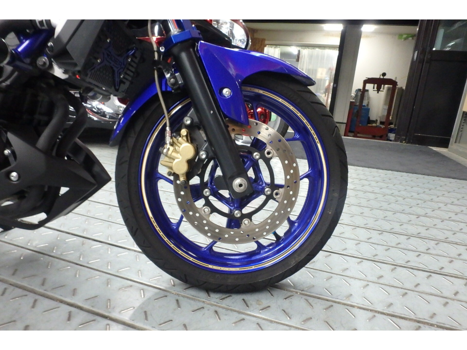 Yamaha MT-25 — фото 4
