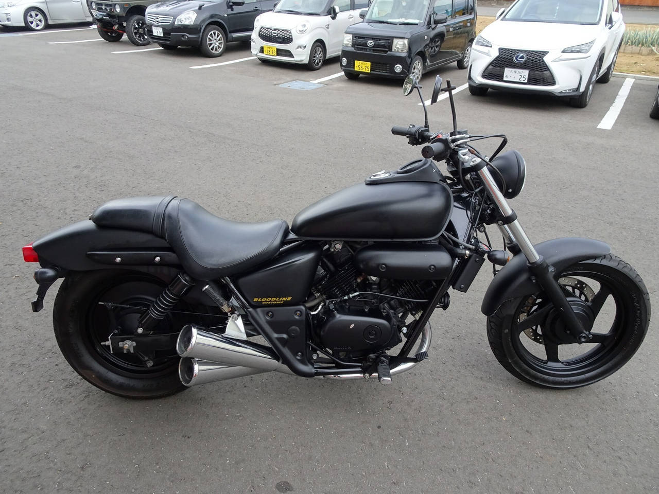 Honda MAGNA250