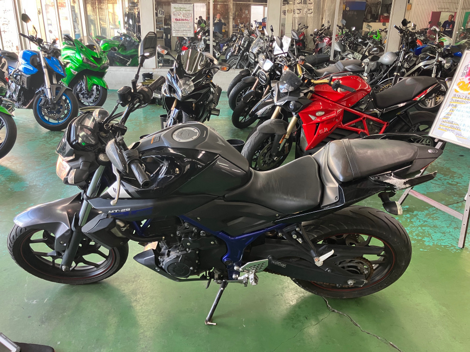 Yamaha MT-25 — фото 3