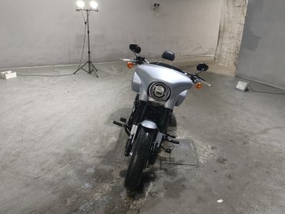 HD SPORT GLIDE FLSB1750 — фото 3