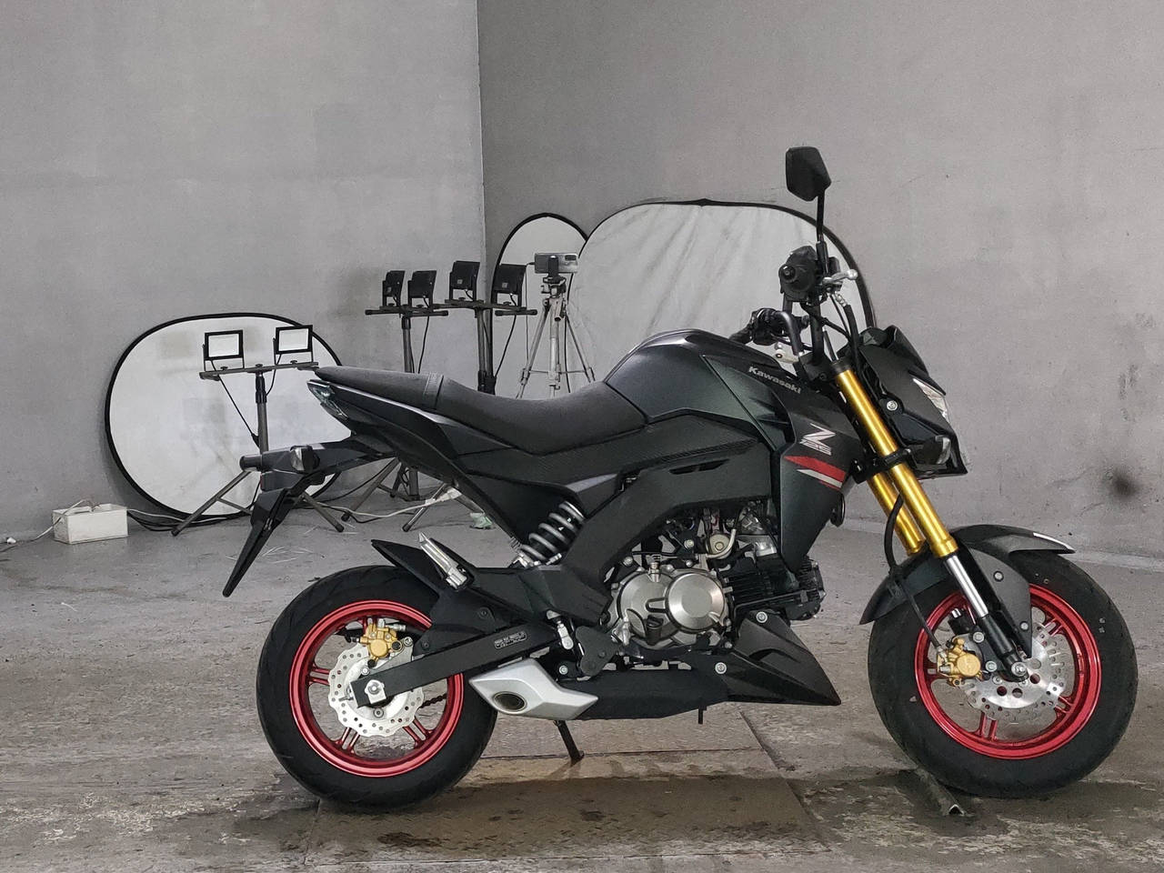Kawasaki Z125 PRO