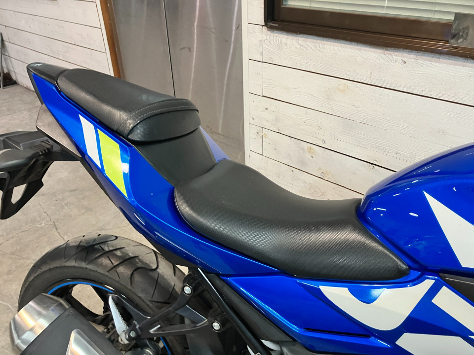 Suzuki GSX250R — фото 4