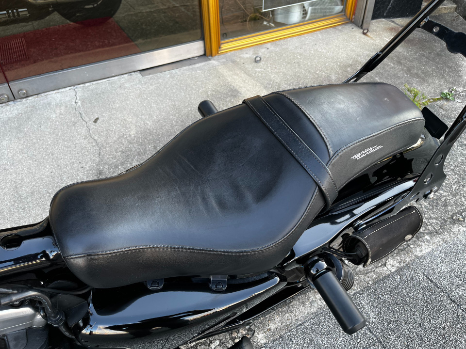 HD SPORTSTER FORTY-EIGHT XL1200X — фото 20