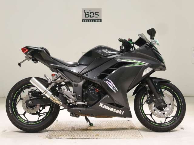 Kawasaki NINJA250