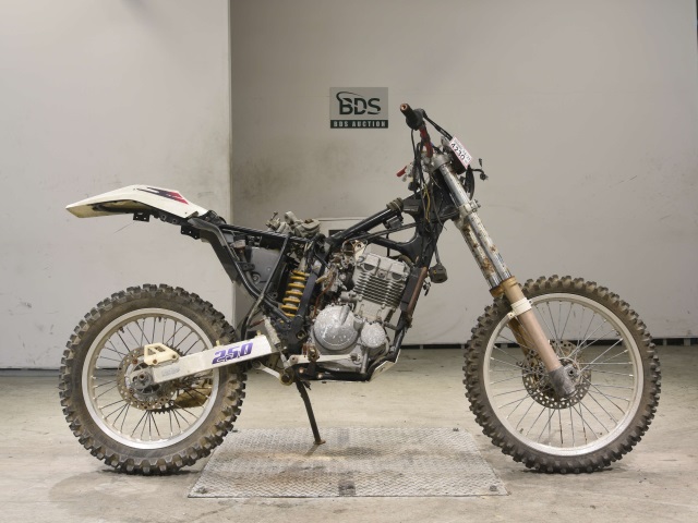 Suzuki DR250