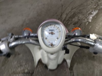 Honda SCOOPY50 — фото 5