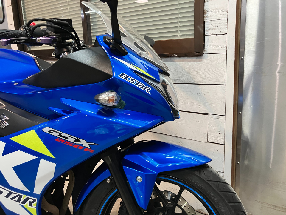 Suzuki GSX250R — фото 17