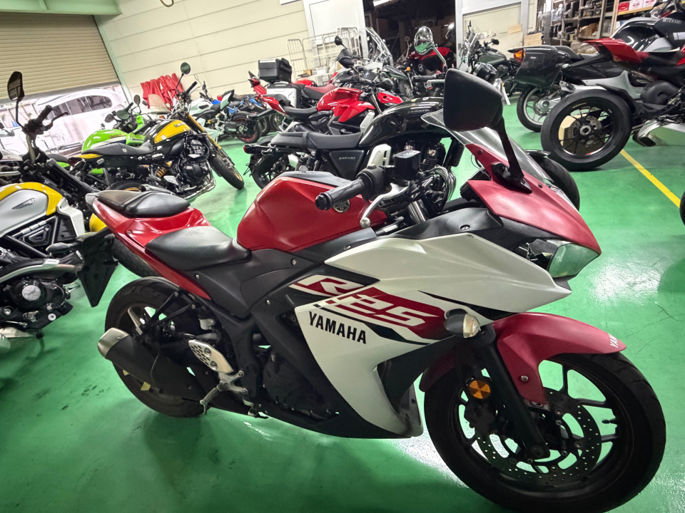 Yamaha YZF-R25