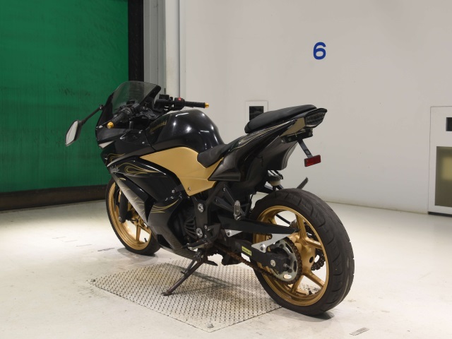 Kawasaki NINJA250R — фото 6