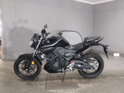 Yamaha MT-25 — фото 2