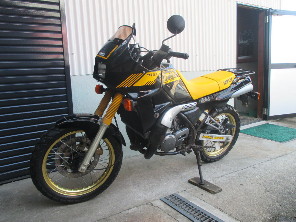 Yamaha TDR250 — фото 9