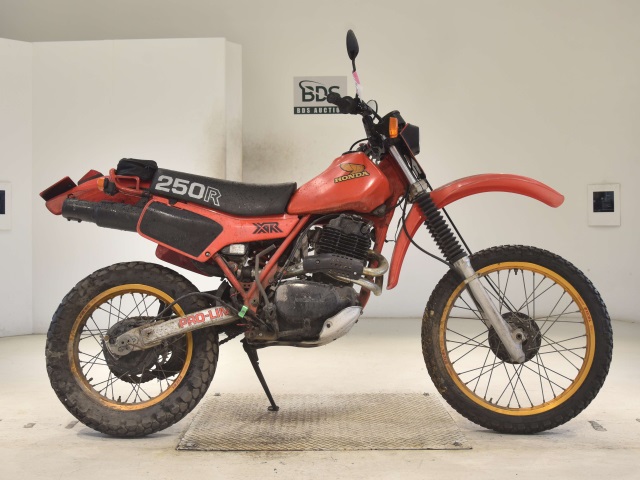 Honda XR250