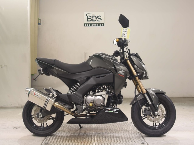 Kawasaki Z125 PRO