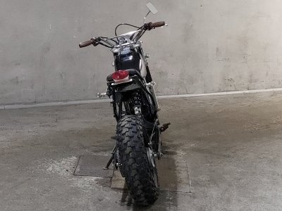 Yamaha TW200 — фото 4