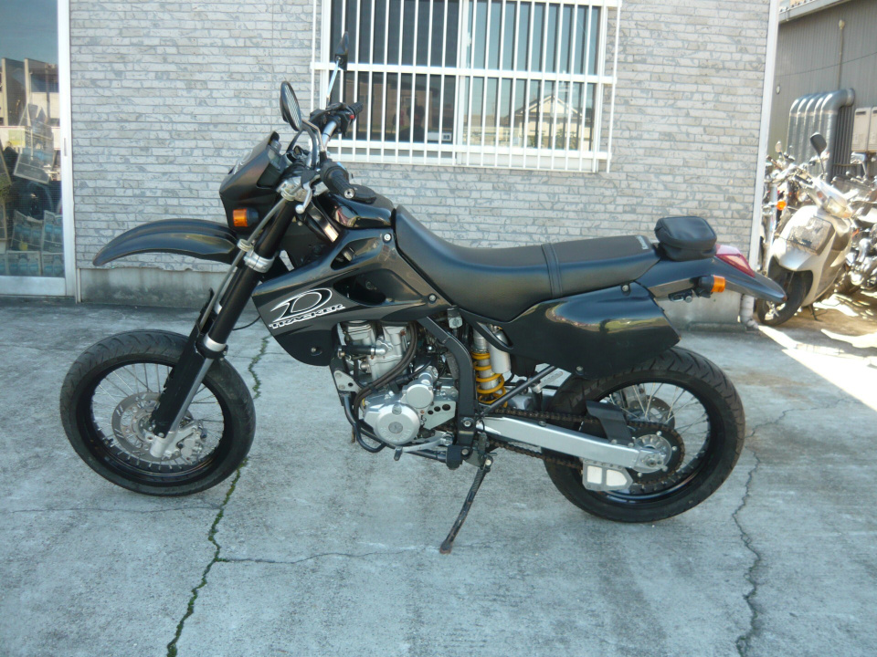 Kawasaki D-TRACKER250 — фото 3