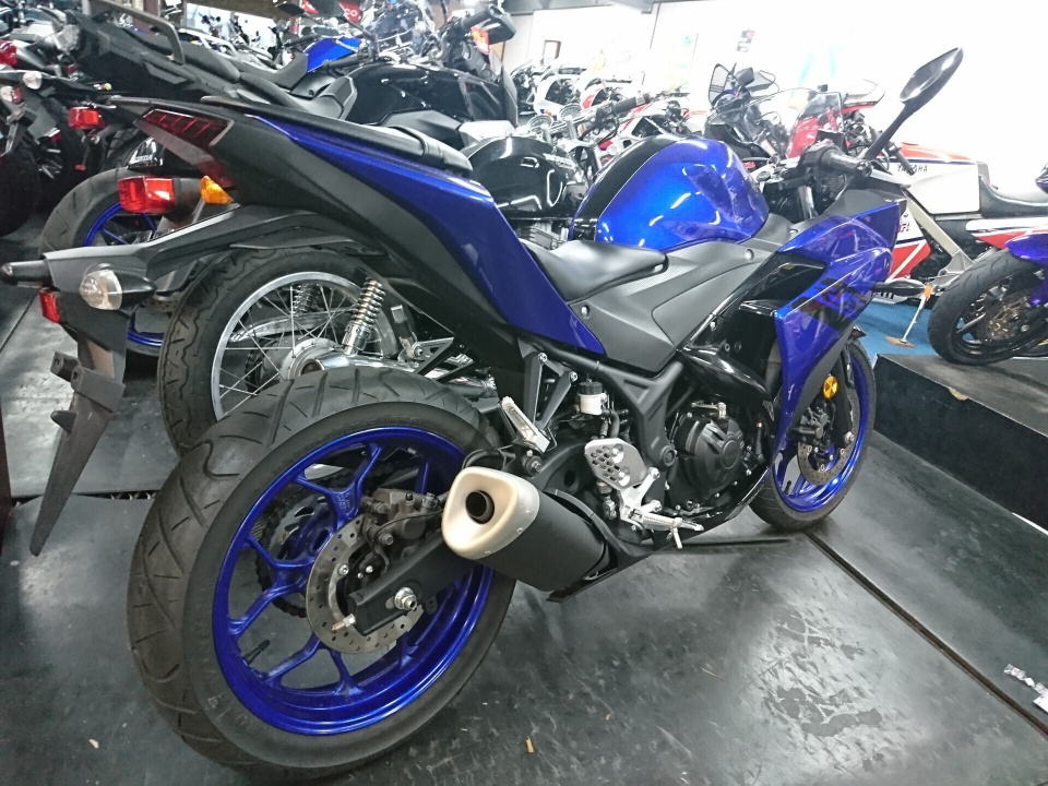 Yamaha MODEL: YZF-R25 ABS — фото 3
