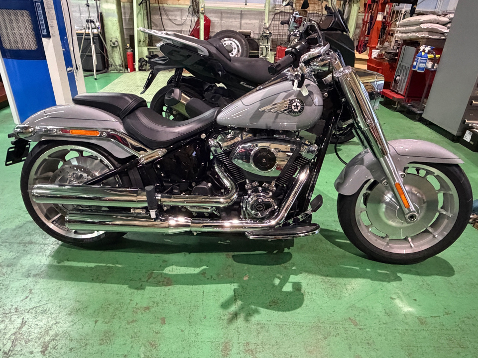 HD FATBOY FLFB1745