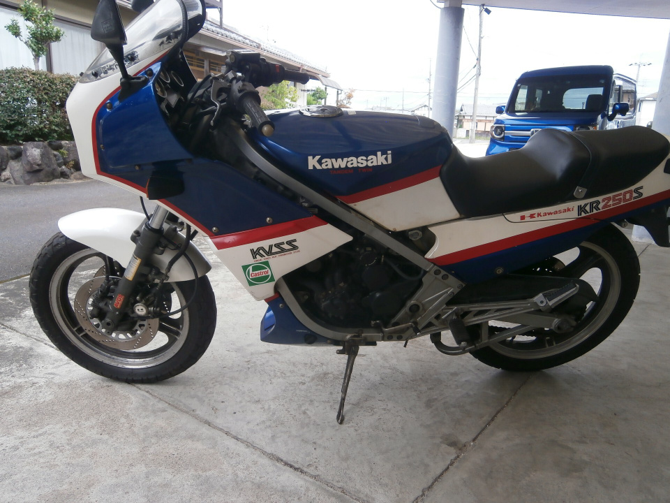 Kawasaki KR250S — фото 2
