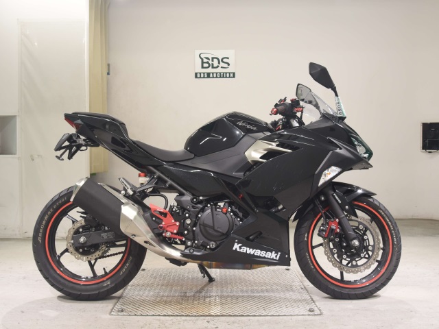 Kawasaki NINJA250