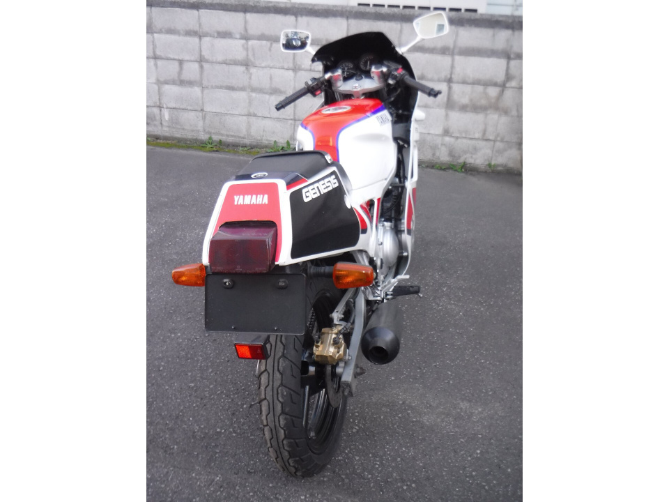 Yamaha FZR250 — фото 2