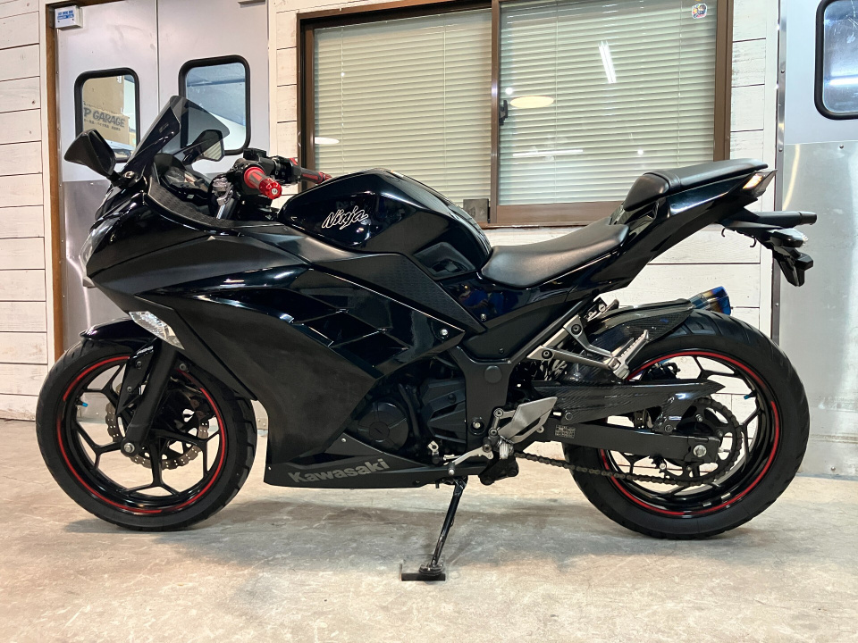 Kawasaki NINJA250 — фото 2