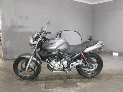 Yamaha ZEAL FZX250 — фото 2