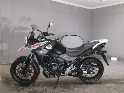 Suzuki V-STROM DL250 — фото 2