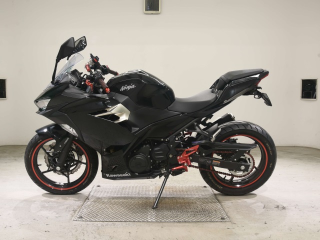 Kawasaki NINJA250 — фото 2