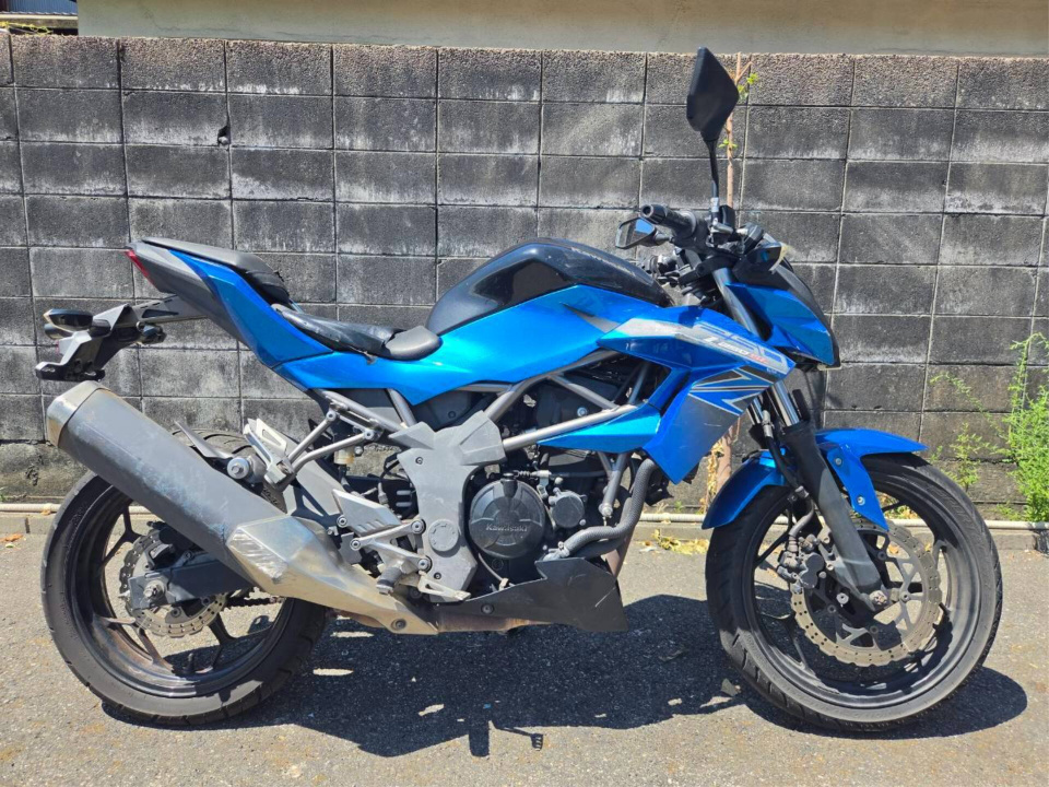 Kawasaki Z250SL