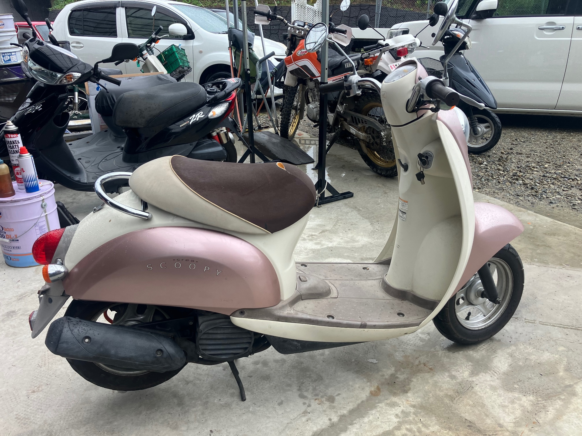 Honda SCOOPY50