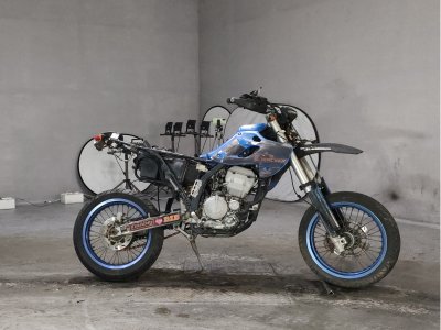 Kawasaki D-TRACKER250