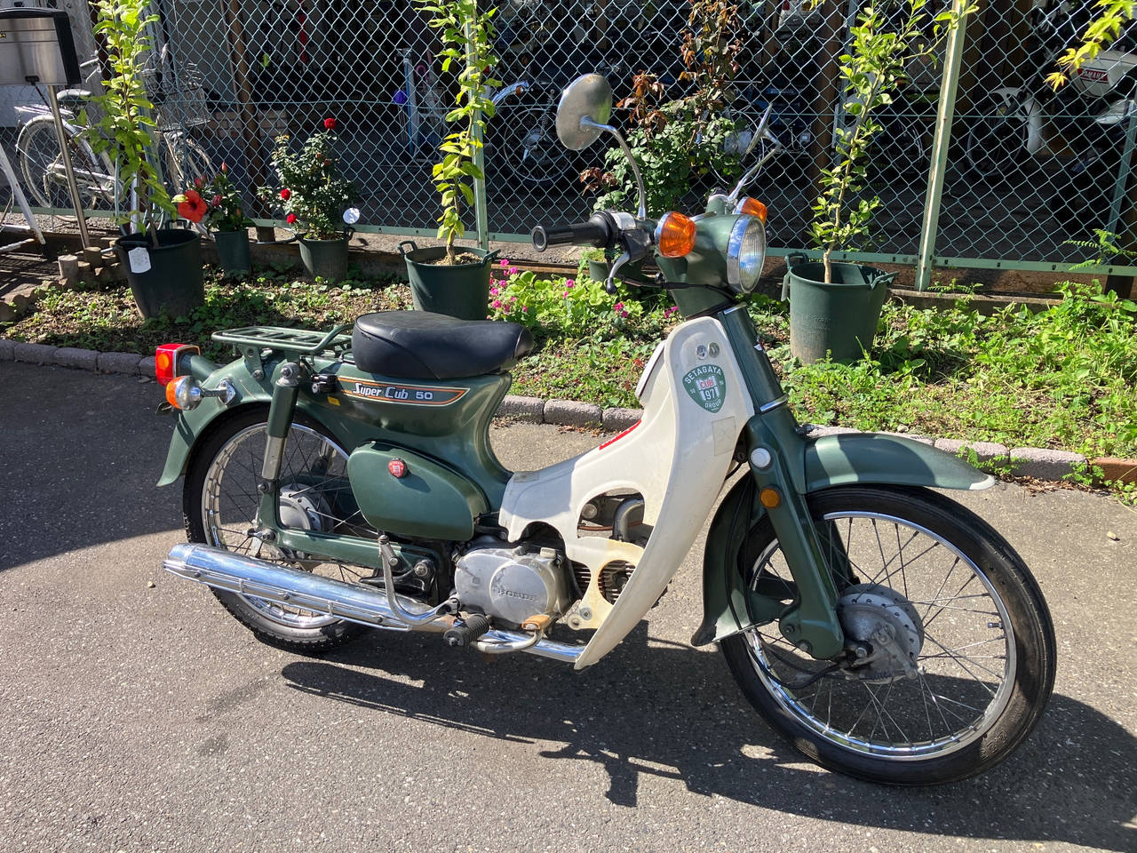 Honda SUPER CUB50