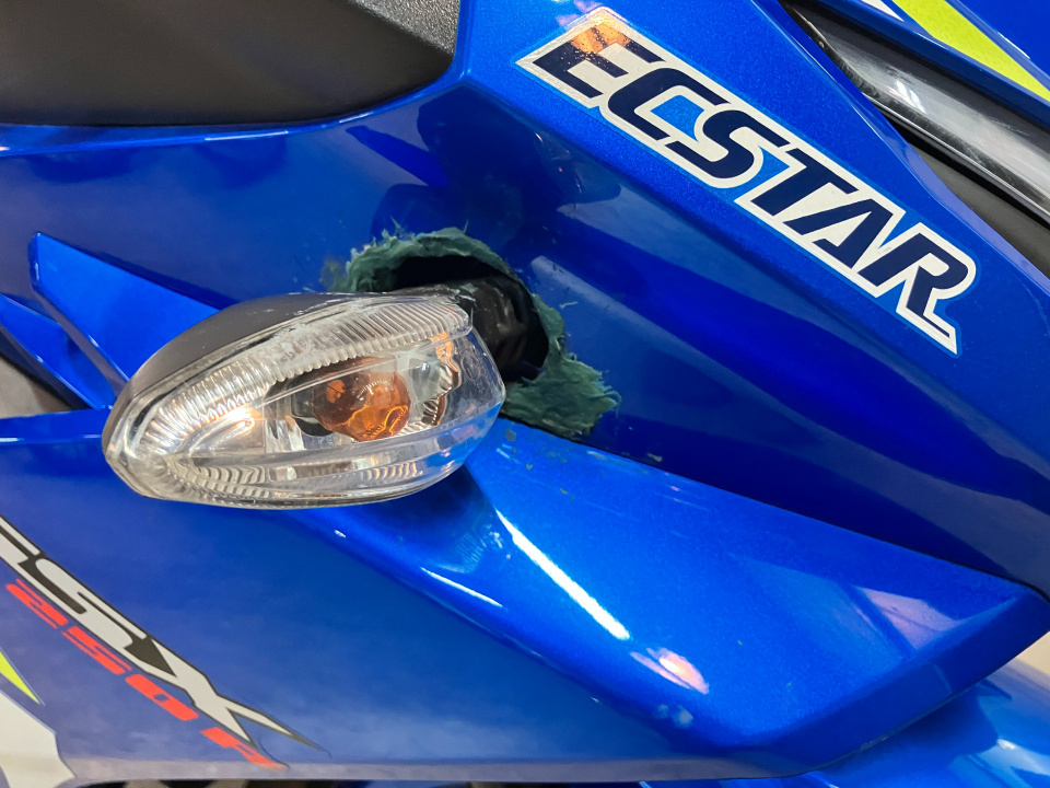 Suzuki GSX250R — фото 18